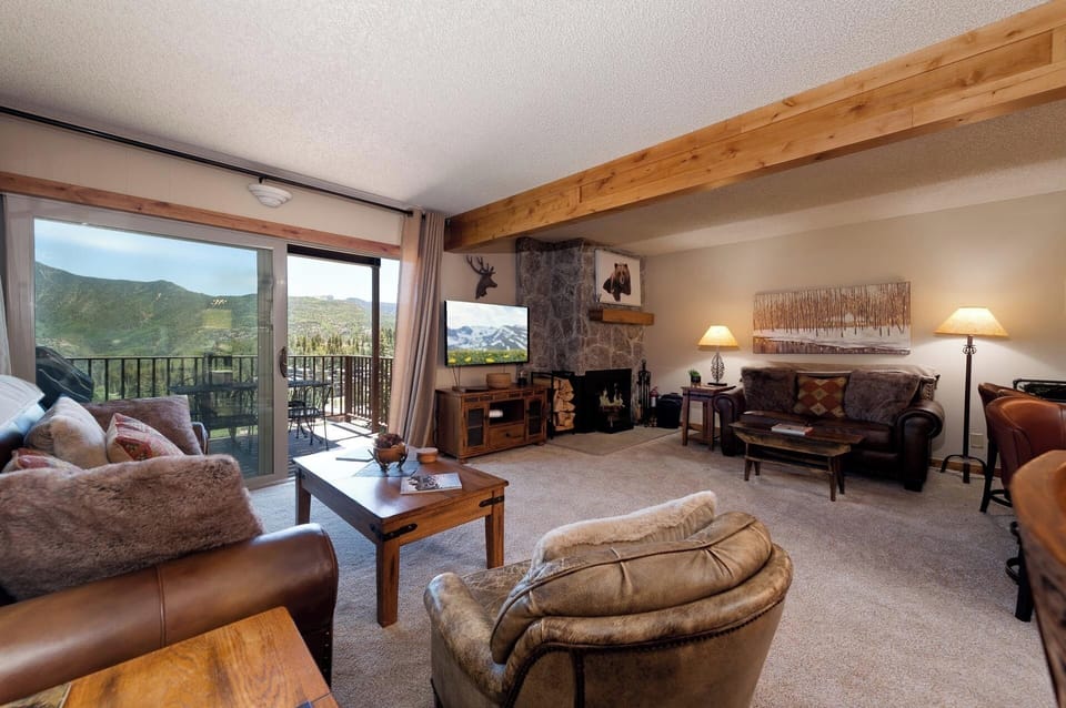 Main Living Space - TV, Deck, Wood burning stove
