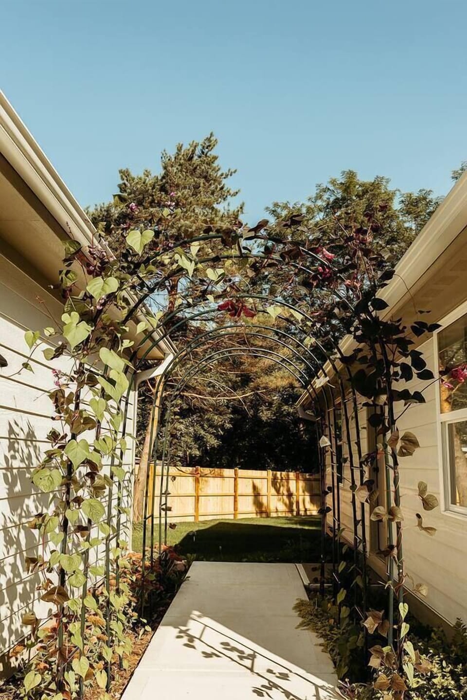 A canopy of foliage connects the cottage to the garage. 