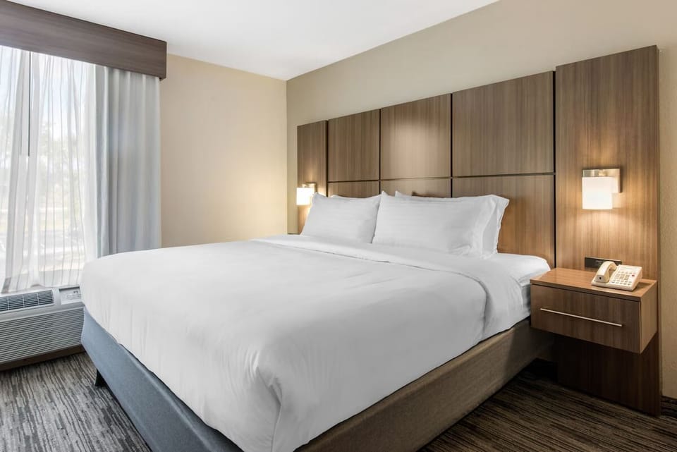 Unit with King Bed or Queen Bed