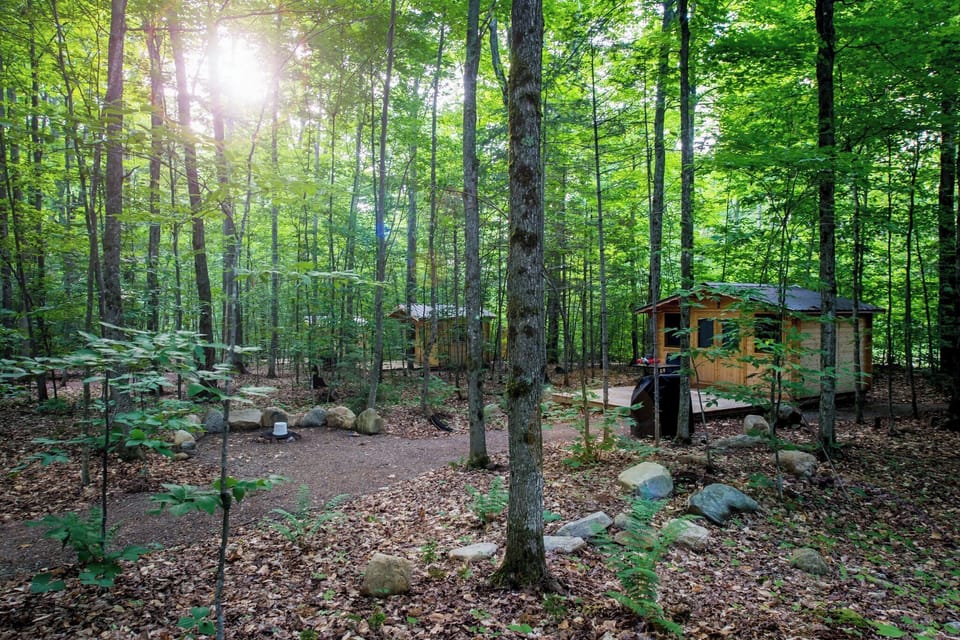 4 Cabins