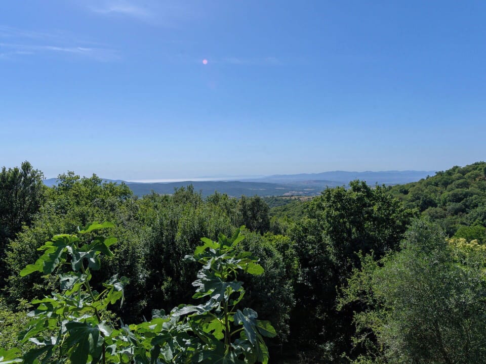 Sky, Blue, Leaf, Daytime, Nature, Green, Natural Environment, Vegetation, Natural Landscape, Ecoregion