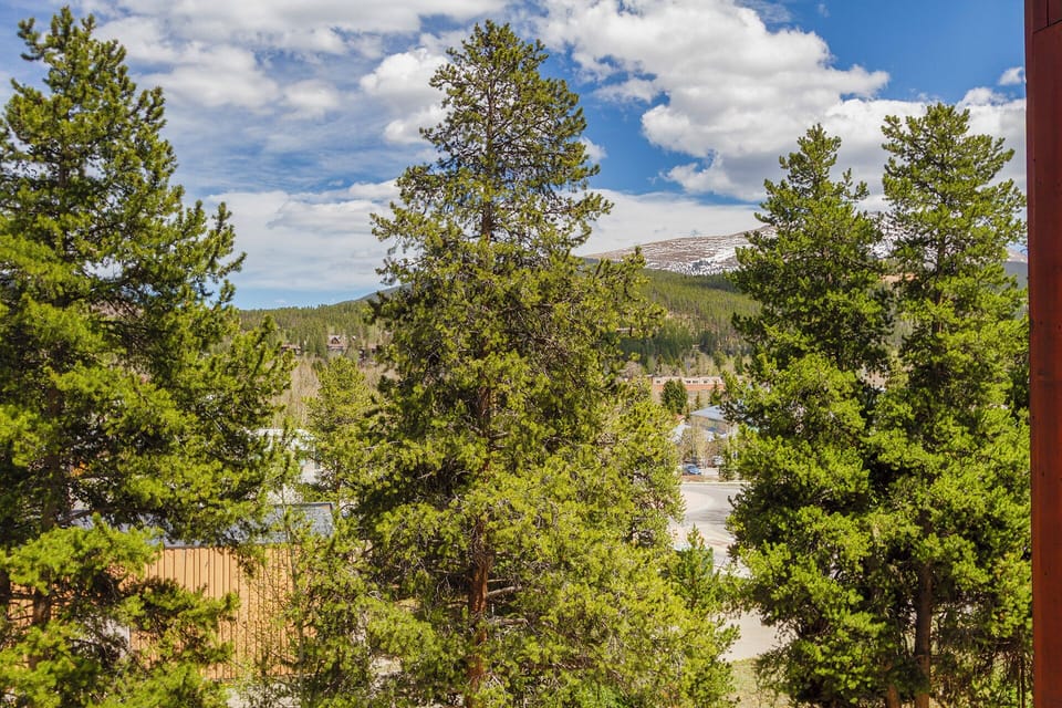 Mountain views with a snowy peak framed by evergreen trees and blue skies—a scenic glimpse of the surrounding natural landscape near the property.