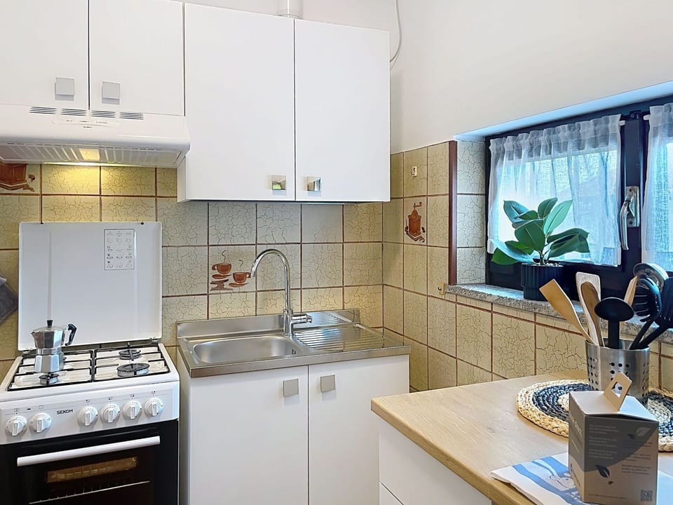 Kitchen Appliance, Kitchen, Countertop, Major Appliance, Cabinetry, Kitchen Sink, Kitchen Stove, Plumbing Fixture, Wood, Flooring