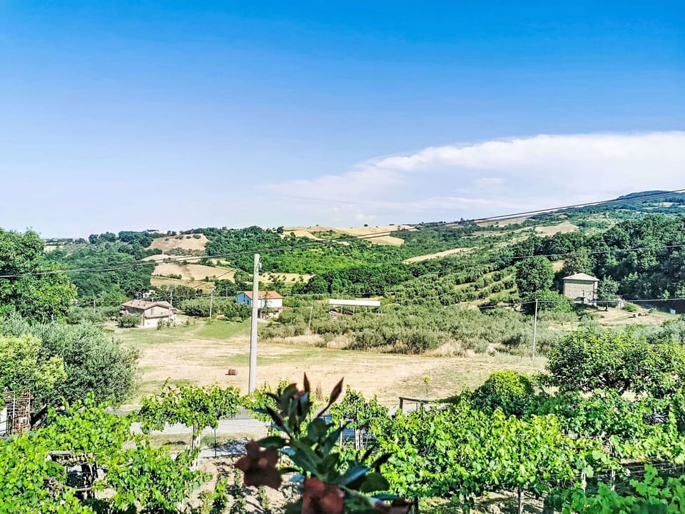 Rural Area, Landscape, Hill, Land Lot, Plain, Plantation, Hill Station, Field, Agriculture, Soil