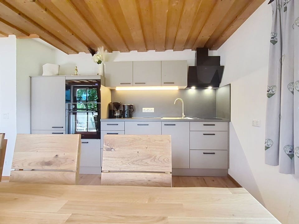 Furniture, Interior Design, Flooring, Kitchen, Countertop, Floor, Wood, Cabinetry, Ceiling, Kitchen Appliance
