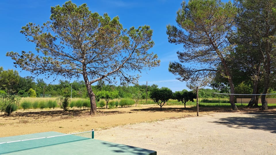 Sport court