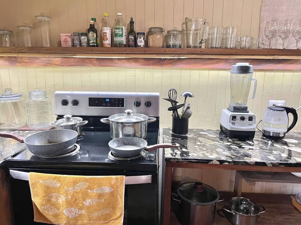 Stove, oven, plenty of pots and pans, great blender, hot water maker, coffe/tea.