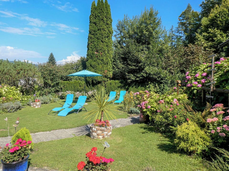 Blue, Flower, Shrub, Garden, Groundcover, Landscaping, Lawn, Yard, Backyard