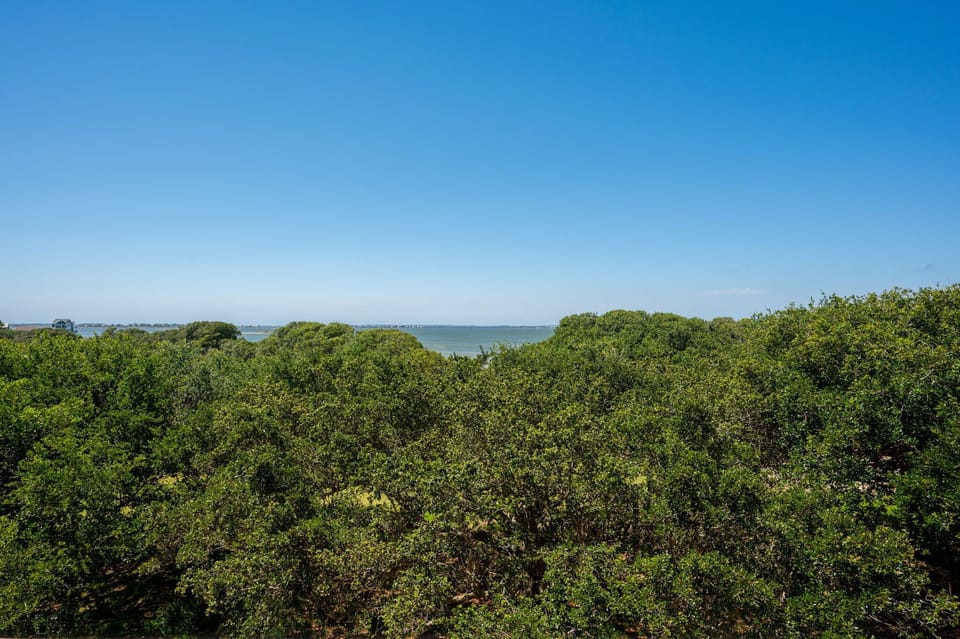 WE21: Mermaid's Pearl | View from TL Sun Deck