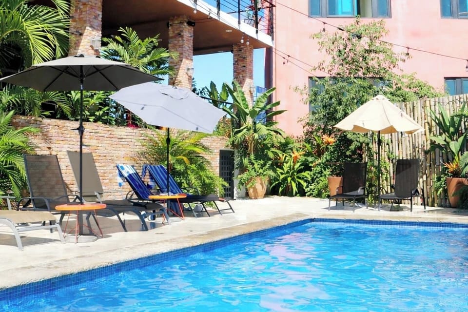 Shared rooftop pool with loungers and a nice well-priced restaurant (offsite) - FREE entrance, only order a drink or something from the menu