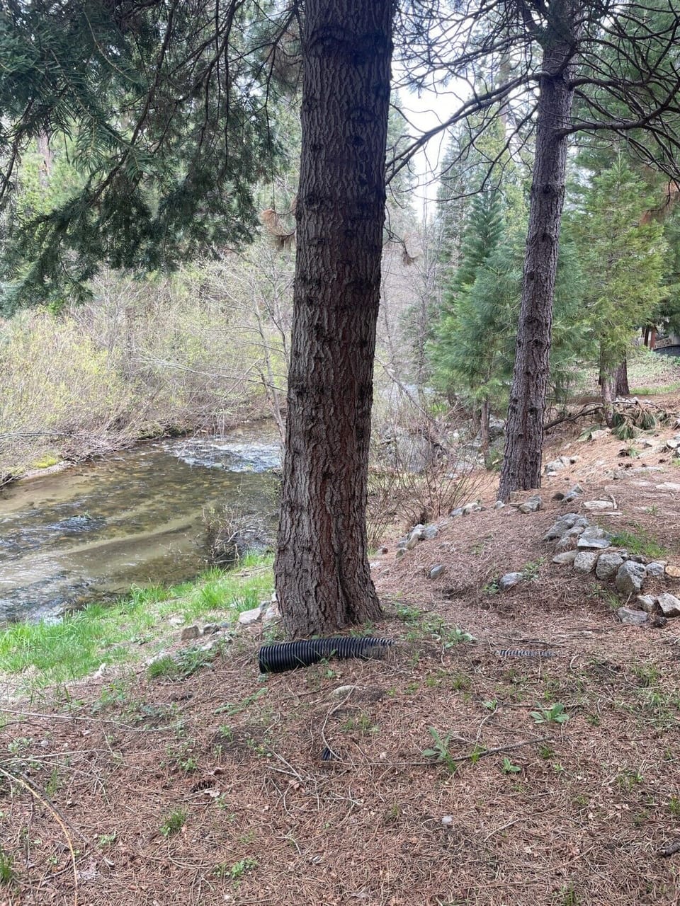 Creek in the back yard
