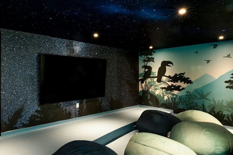 Television