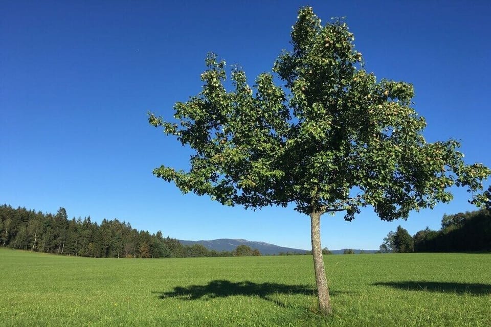 Untagged