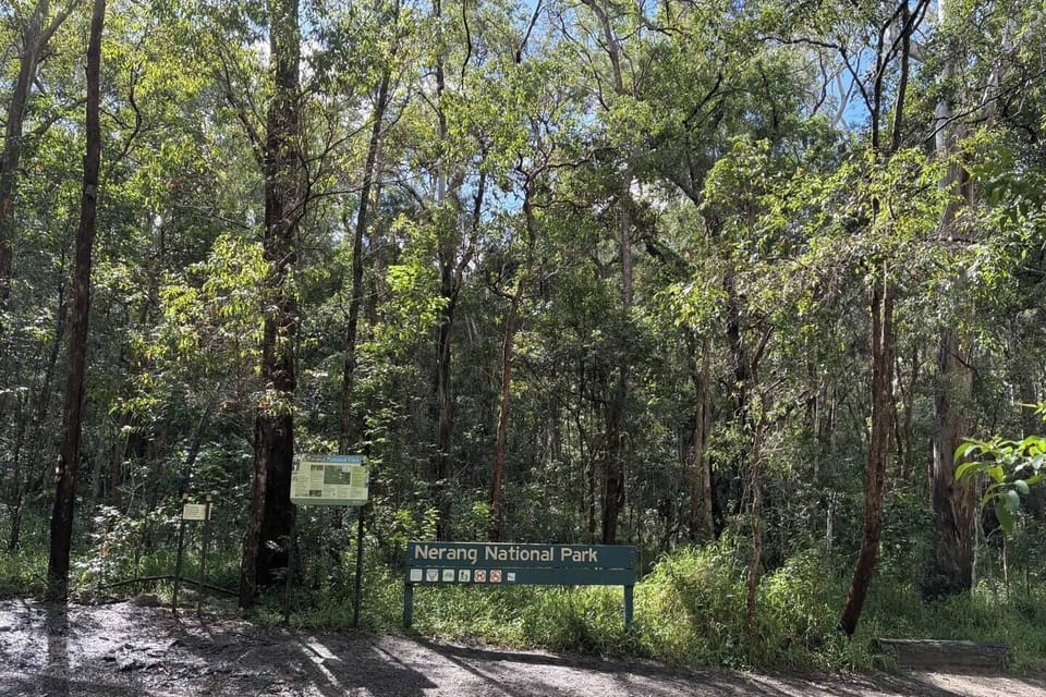 Nerang National Park is close by, ready for a morning hike or a quiet stroll among the gum trees.