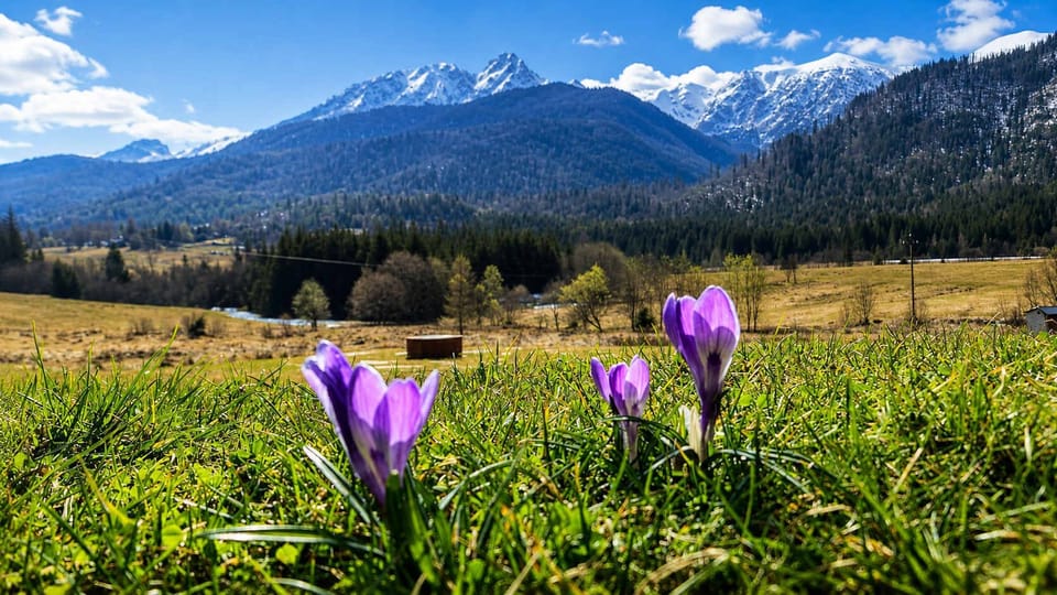 Inwestycja Enklawa Polany pozwala cieszyć się bliskością natury i pięknymi widokami, z jednoczesnym łatwym dostępem do atrakcji regionu.
