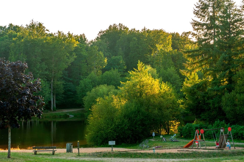 Children's playground by the lake, with swings and a slide among the trees.