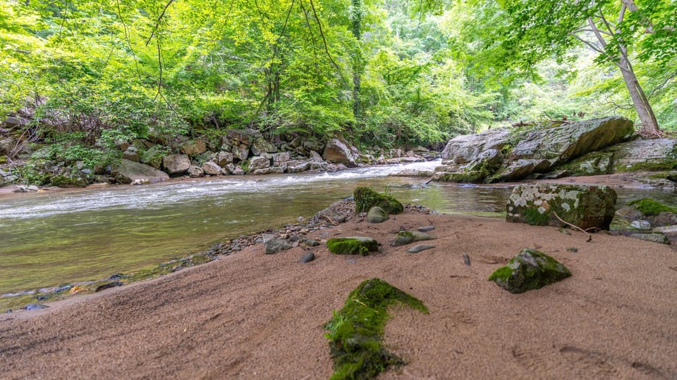 River and beach 