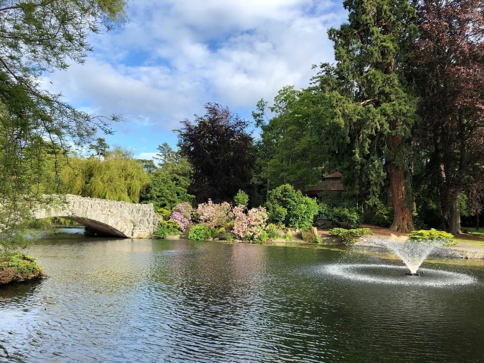 Unbeatable location just steps from Beacon Hill Park and its scenic footpaths.