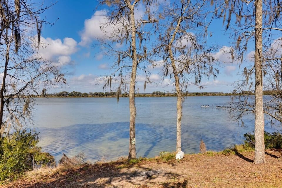 Waterfront Views | Private Lake Frontage | Tree Lined Shoreline