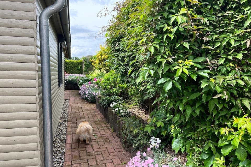 Holiday Home Exterior [summer]
