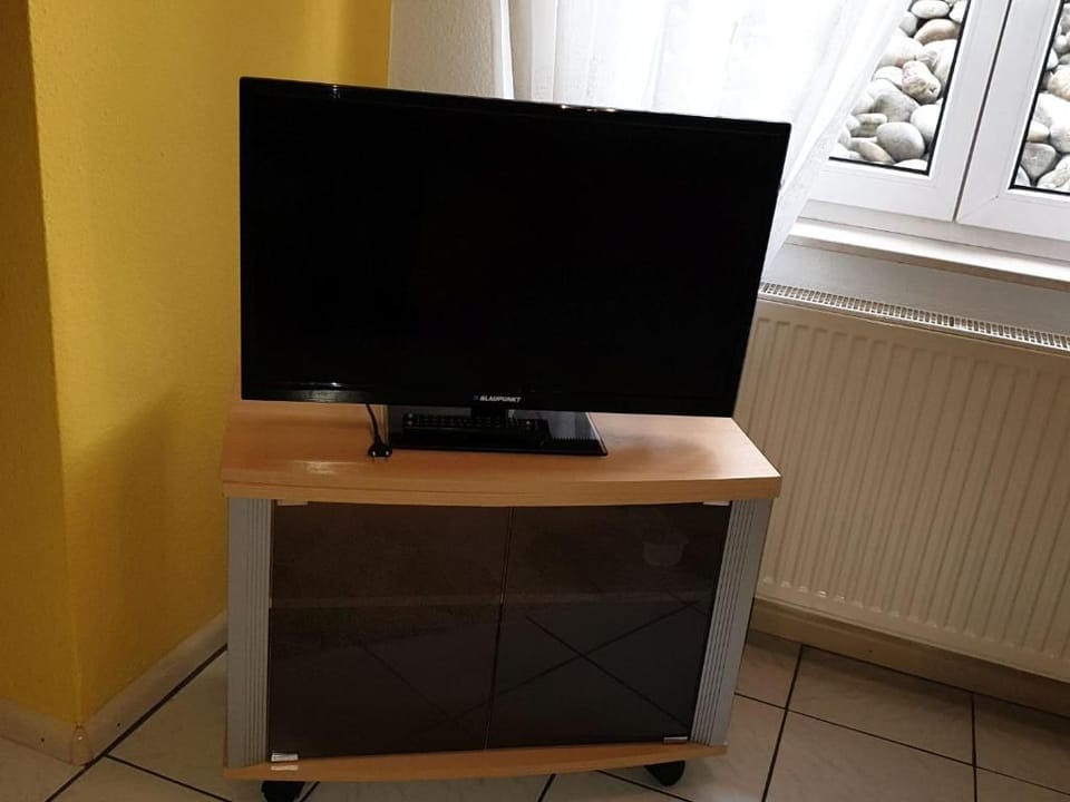 Television