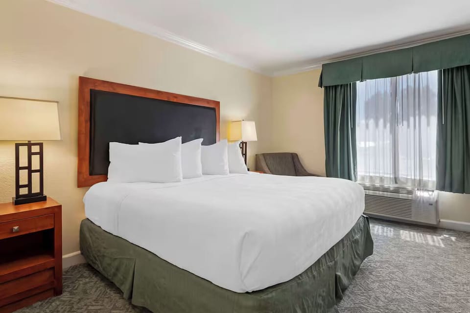 Sink into crisp king comfort beside soft natural window light.