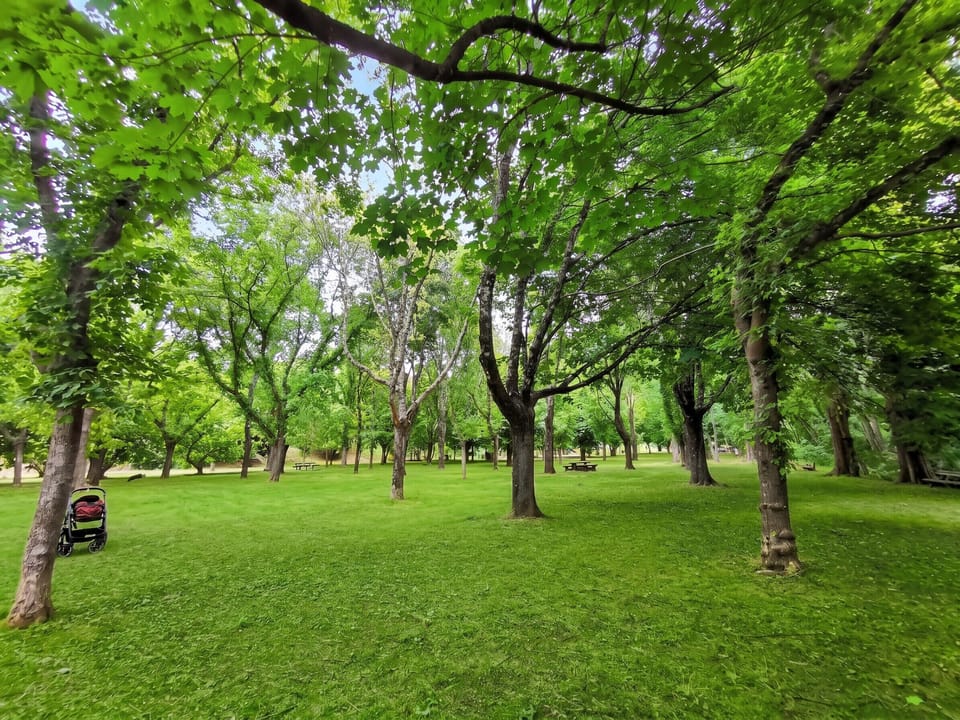 Surroundings