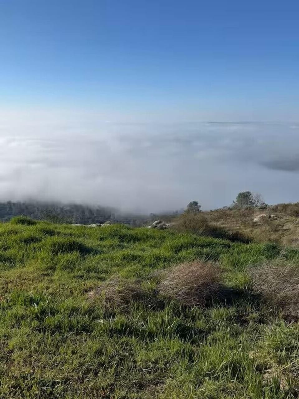 Breathtaking hillside views above the clouds