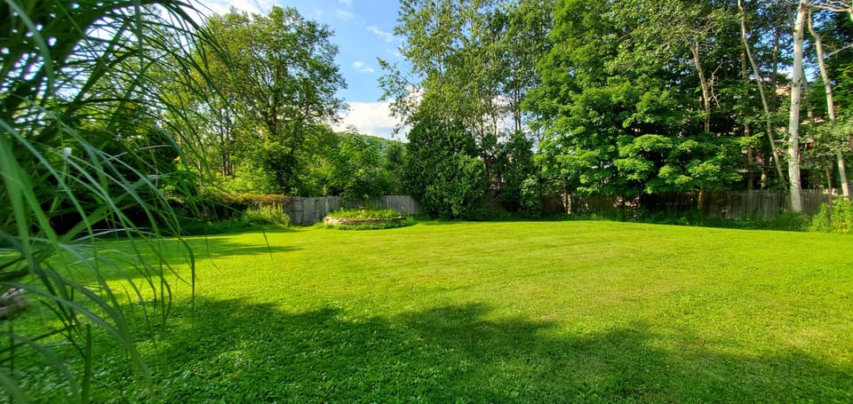 Backyard