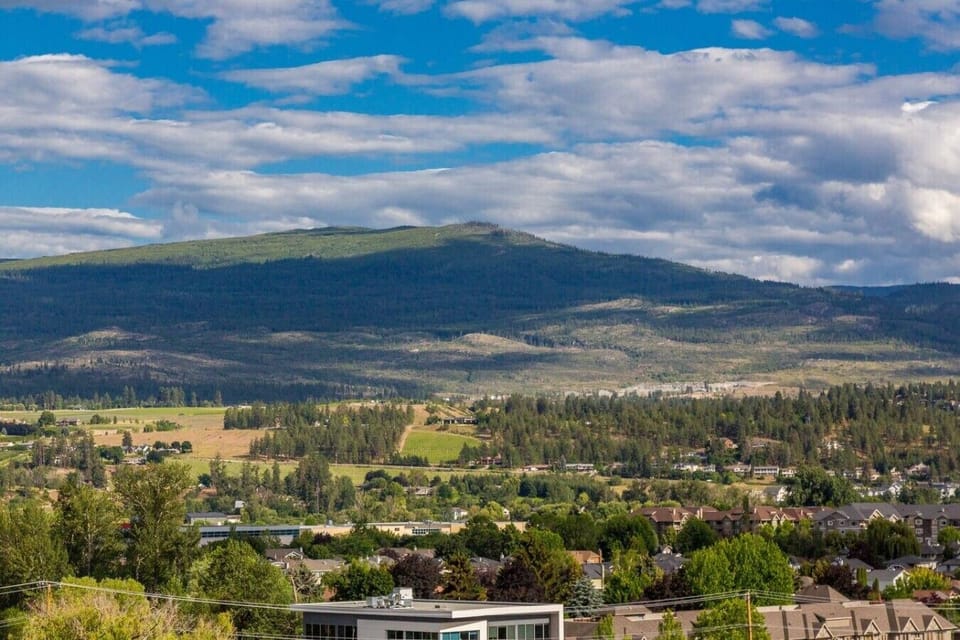 Patio Views
