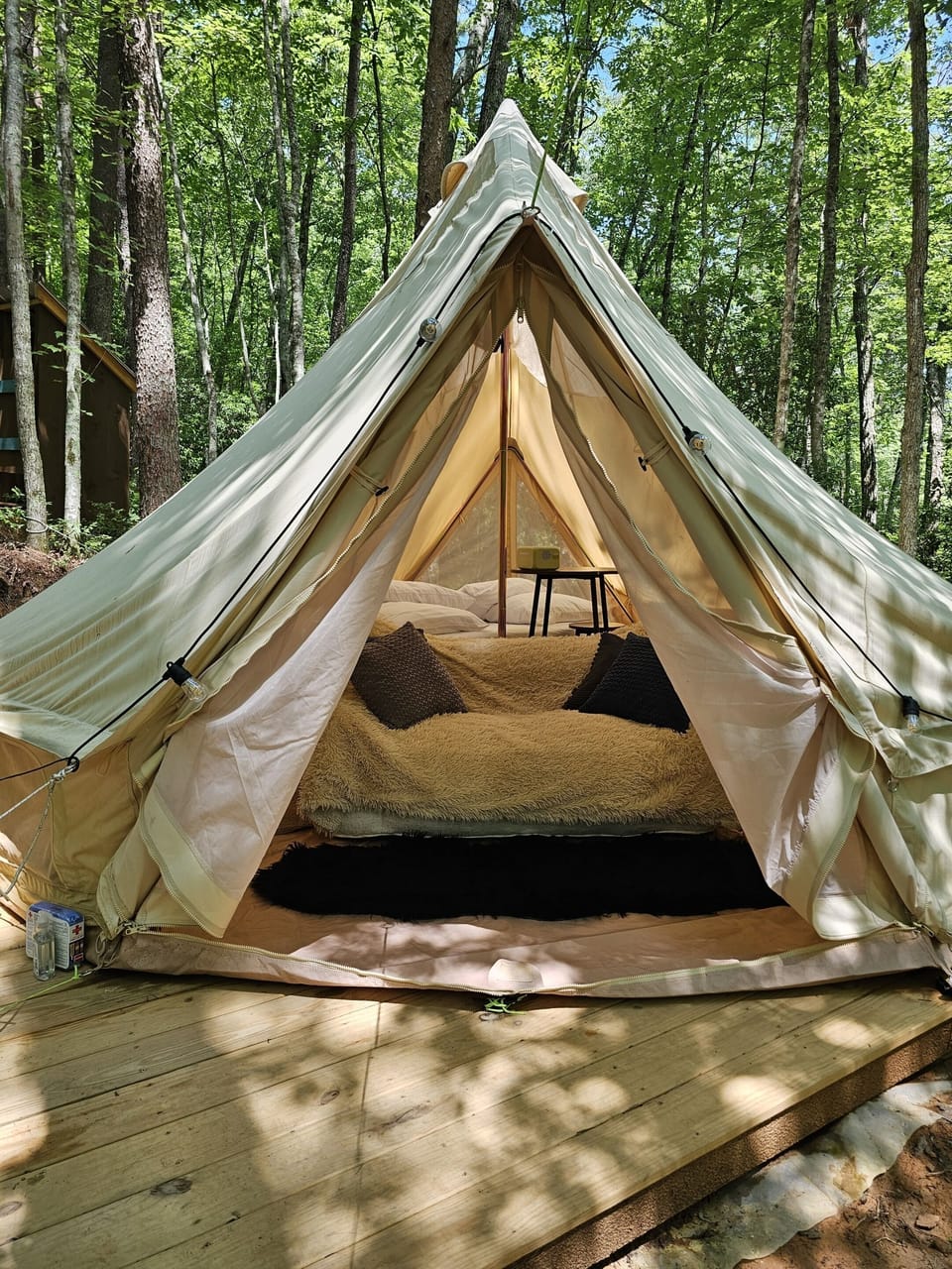 Open the canvas doors and let the forest become part of your living room.