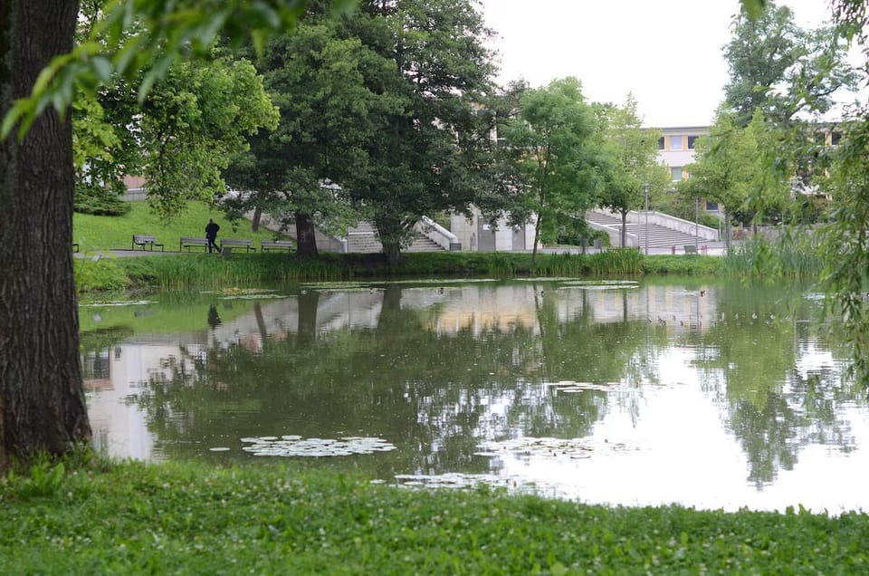 Wander peaceful lakeside paths and unwind in green surroundings.