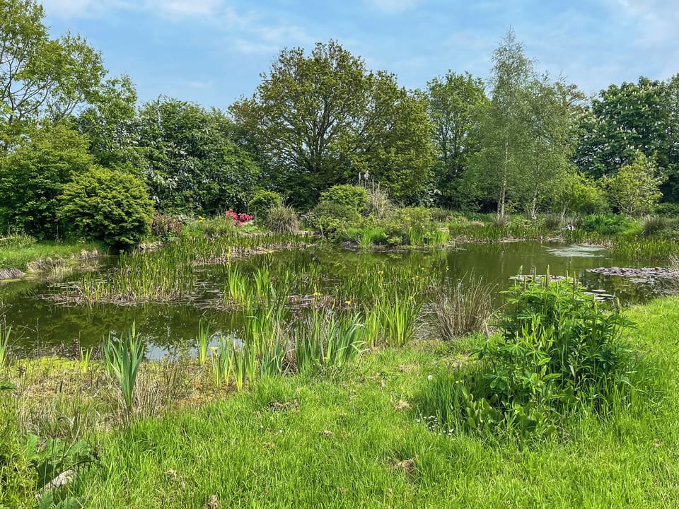 Surrounding area | Bridge Cottage - Bridge Farm Country Stays, Sheepwash