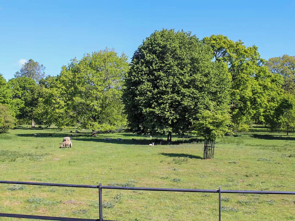 Surrounding area | The Granary - The Ellingham Hall Estate, Bungay