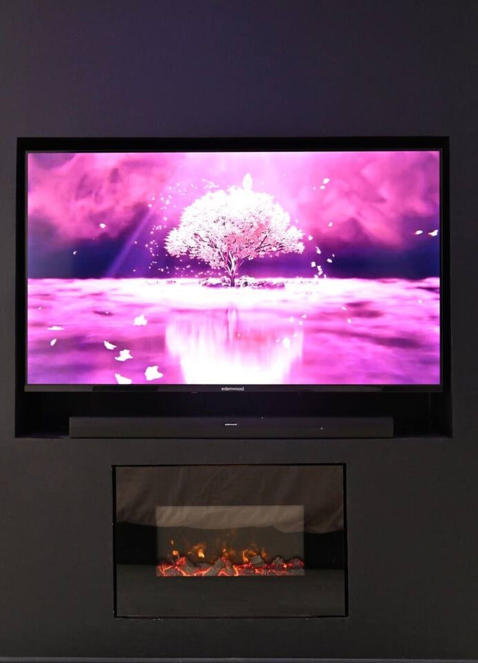 Television