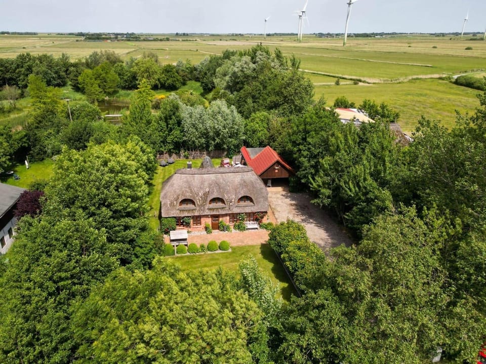 Aerial view across the marshland