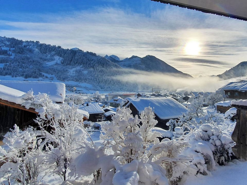 View from property
