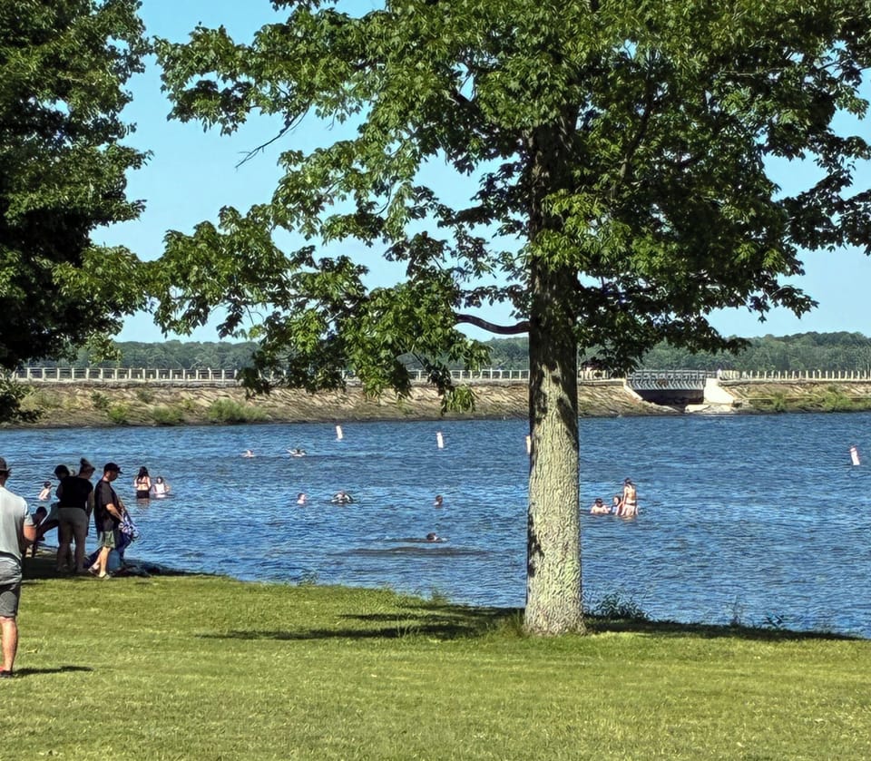 Miscellaneous