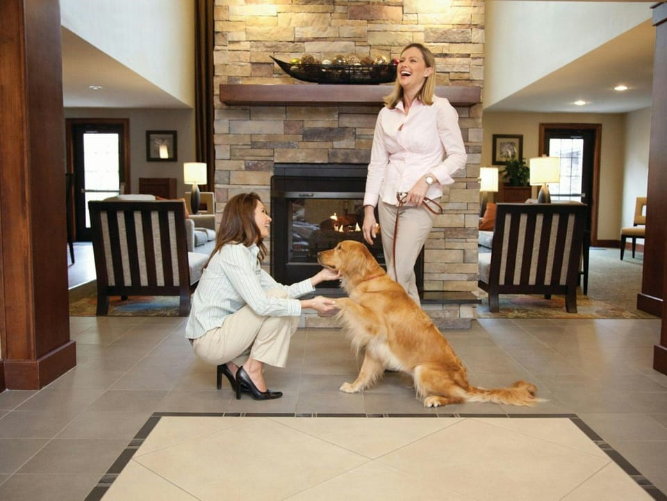 Welcome your furry friends in style at our inviting lobby.