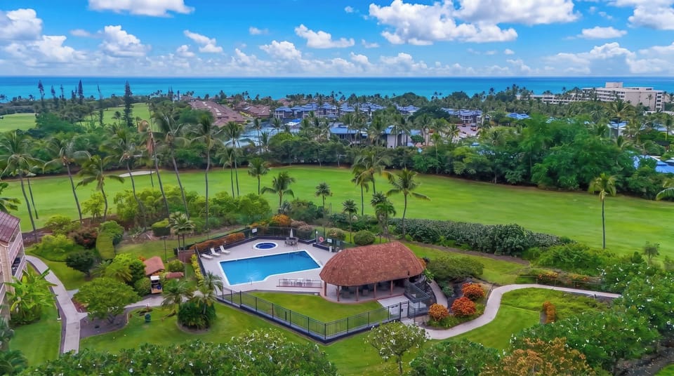 Keauhou Family Oceanview w/ Loft, Pool, Spa, Yoga, Smart TV, Kitchen, BBQ, Beach Apartment in South Kona