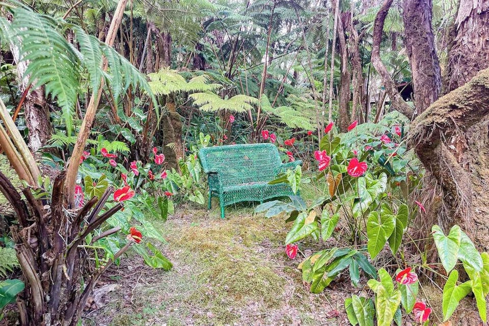 Escape to a private tropical backyard oasis surrounded by lush Hawaiian landscaping, swaying palms, and the peaceful beauty of paradise.