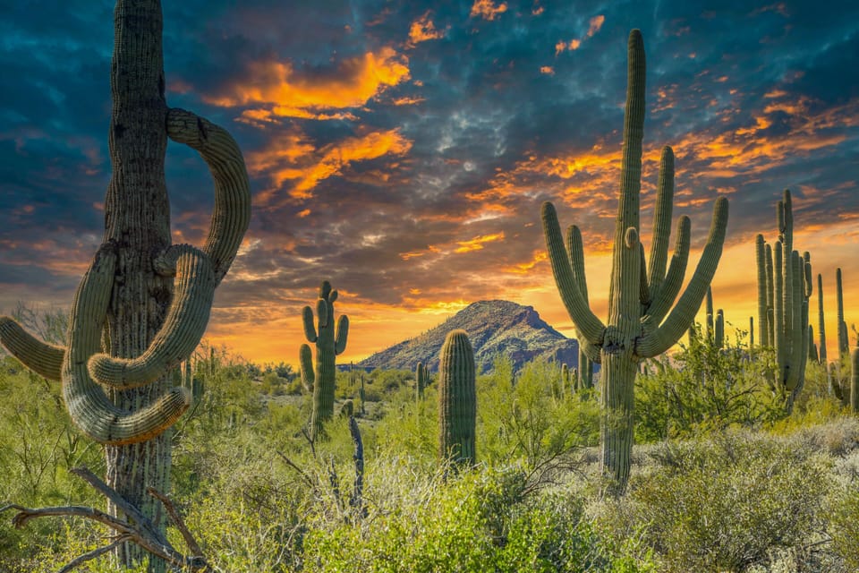 Experience unforgettable Cave Creek sunsets and glowing desert skies. 