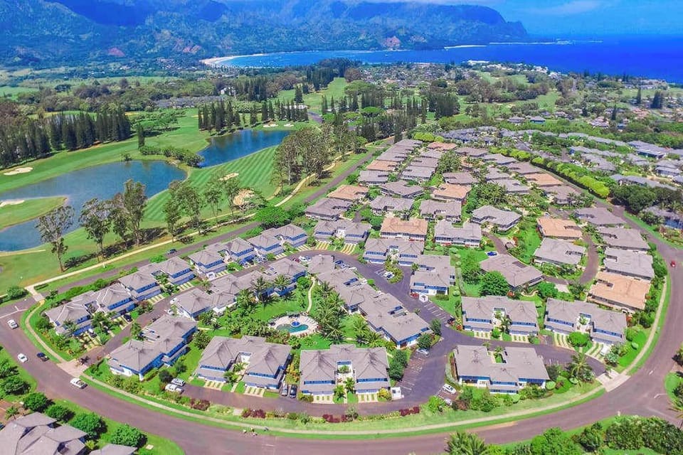 A Bird's-Eye View of Paradise