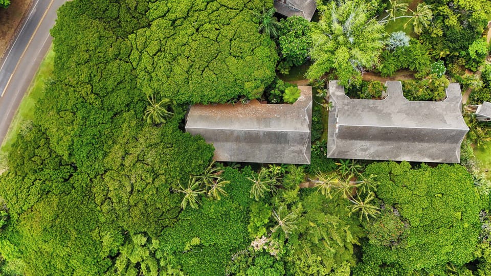 Welcome to the lush paradise of Waikomo Streams