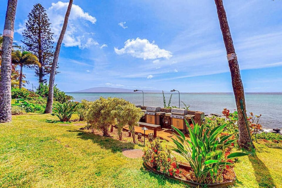 Ocean-view grounds feature palm trees, tropical gardens, and BBQ