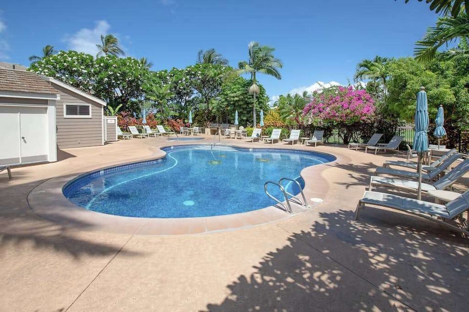 Sparkling Resort Pool Under Sunny Skies