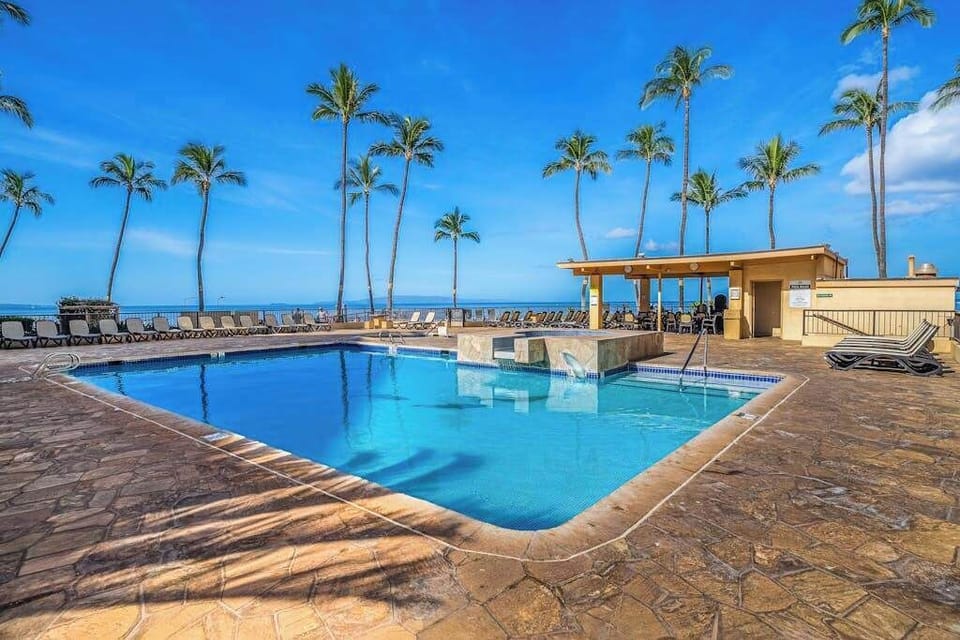 Resort Pool Beneath Swaying Palms