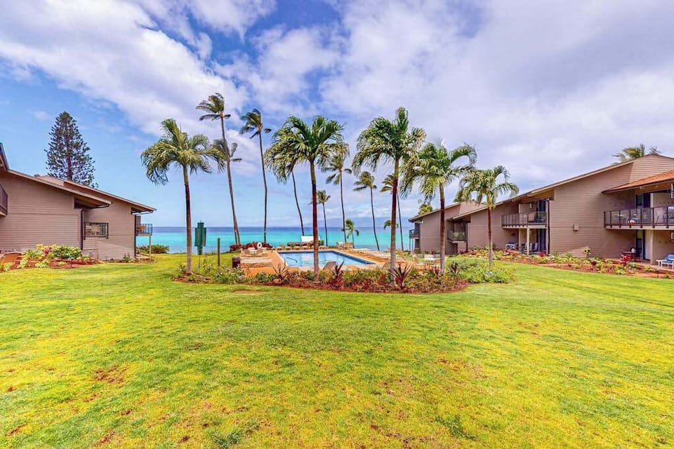Palm-Lined Tropical Courtyard