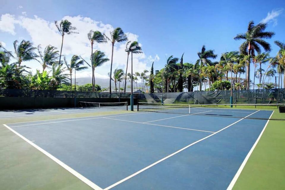 Championship Tennis Courts Under The Palms
