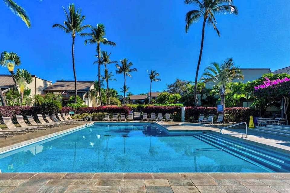 Palm-lined resort pool invites refreshing swims beneath sunny island skies